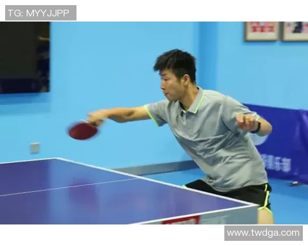 乒乓球的舞台上刘磊的奋斗与荣耀之路深度对话